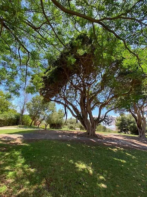 Lägenhet Apt Moderno Con Vistas, Recepcion 24 Hs Y Piscinas Benalmádena